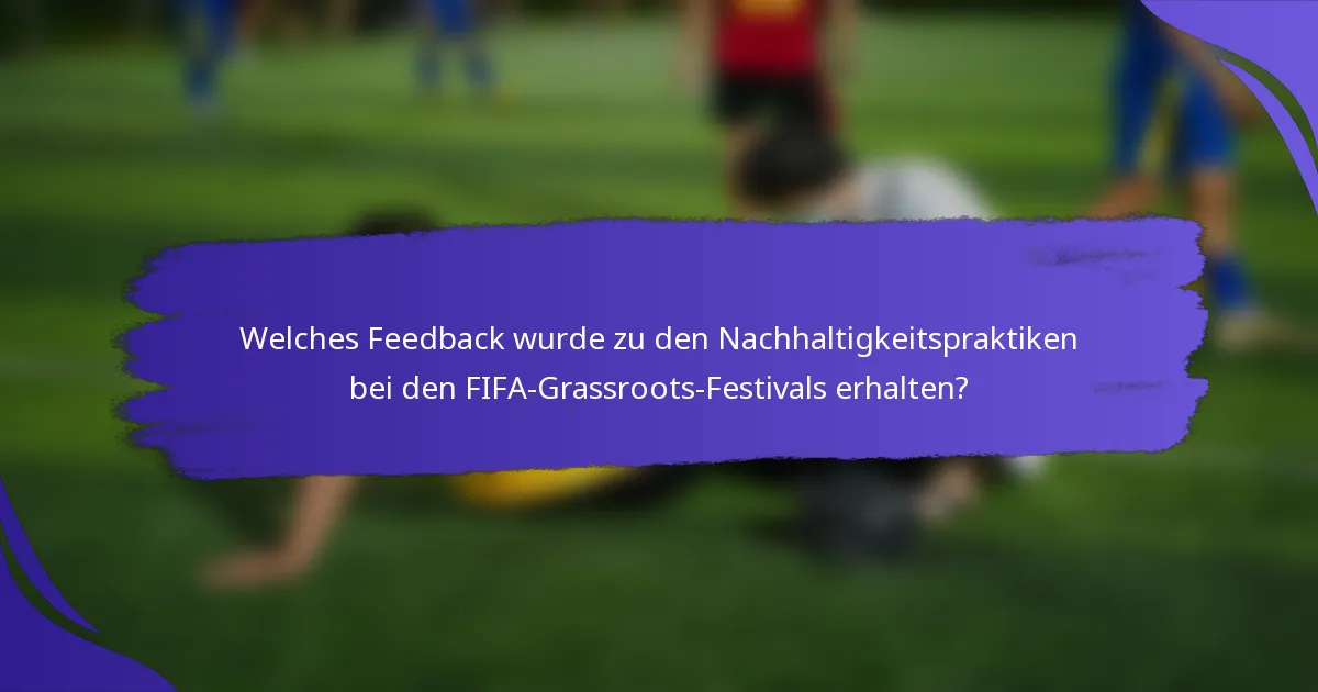 Welches Feedback wurde zu den Nachhaltigkeitspraktiken bei den FIFA-Grassroots-Festivals erhalten?